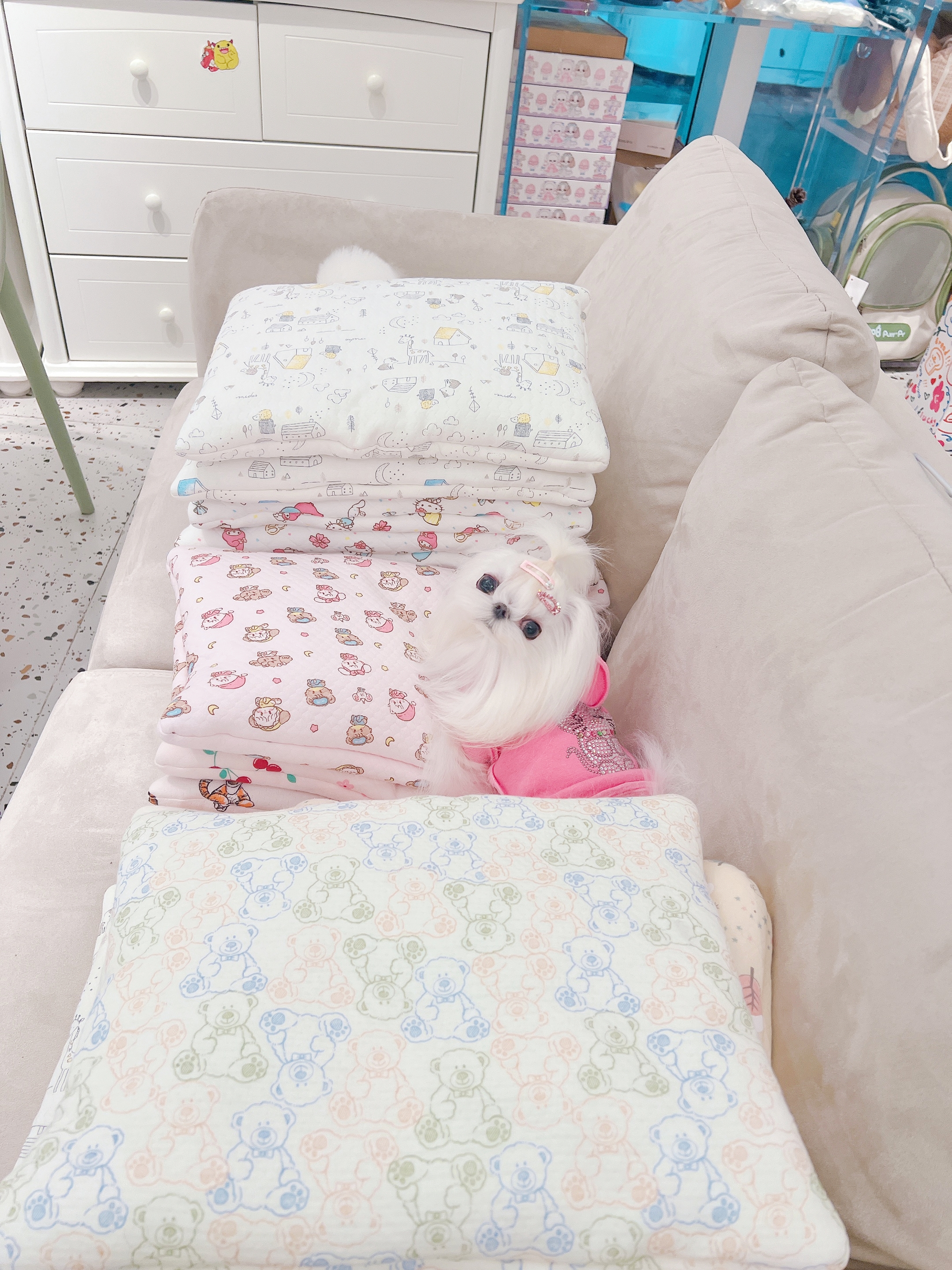 四季款宠物垫子小型犬泰迪比熊马尔济斯西施约克夏