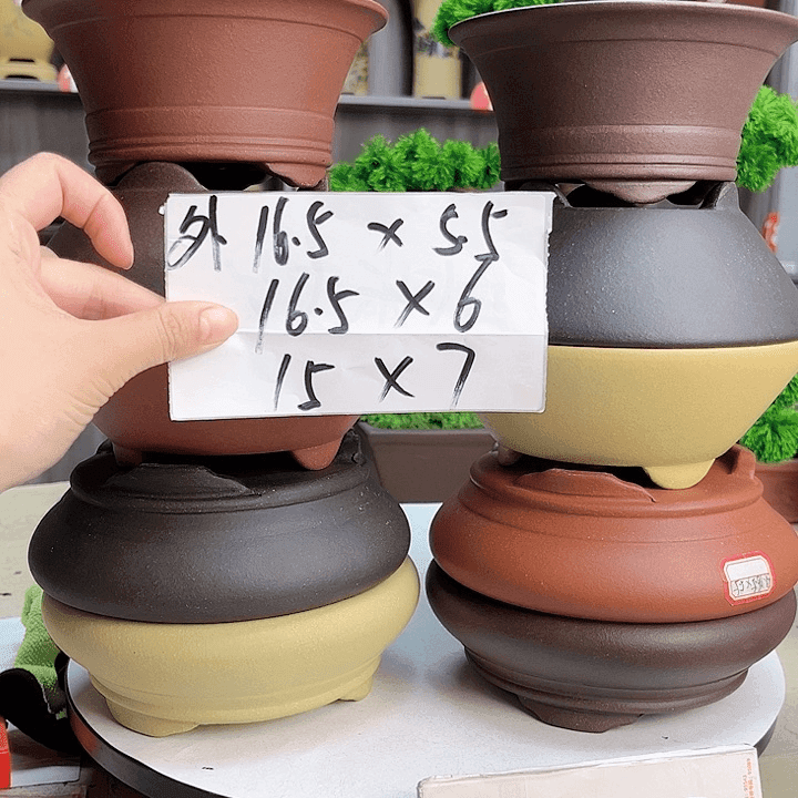 尚飞紫砂花盆直播链接