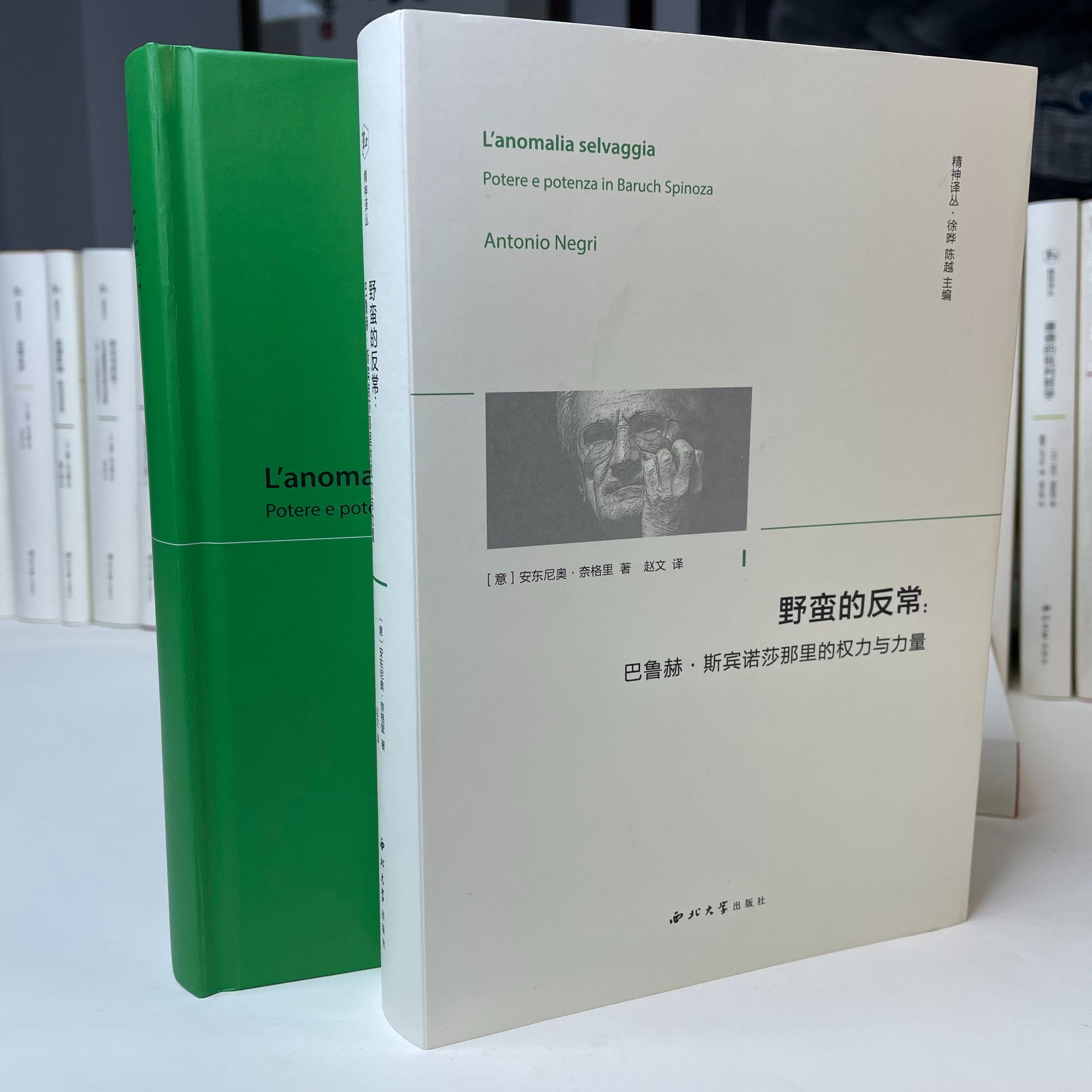 【微瑕专场】【精神译丛】野蛮的反常