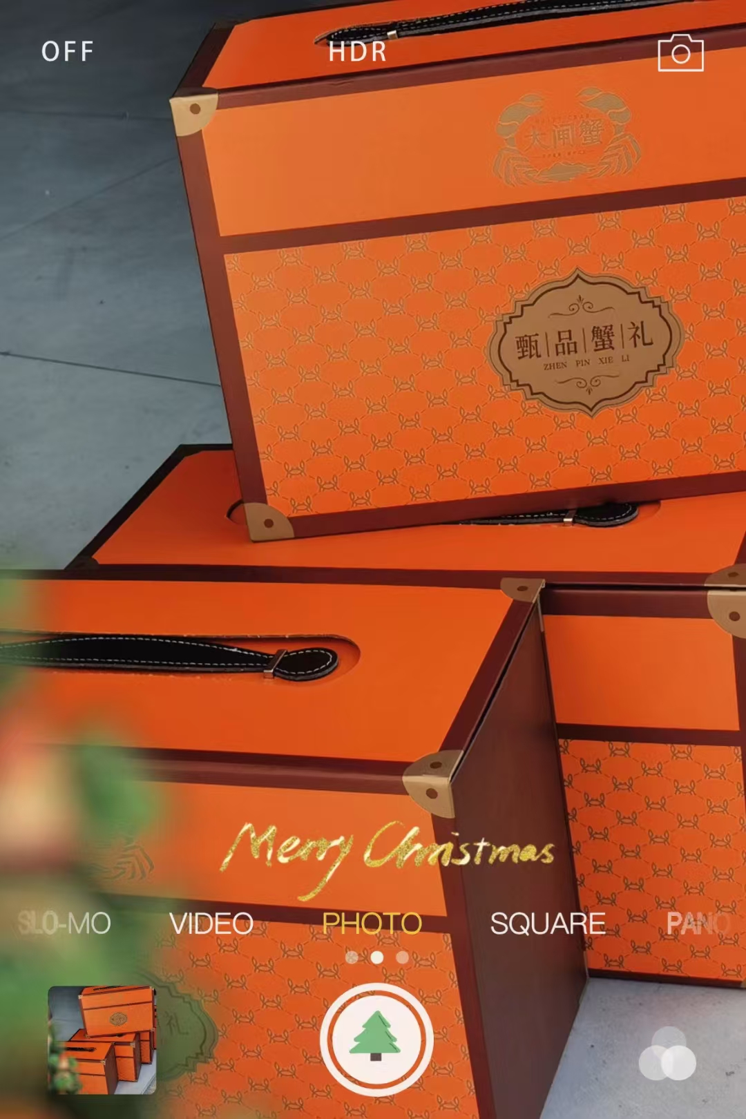 【大闸蟹礼盒】江苏兴化大闸蟹礼盒装 只数现定