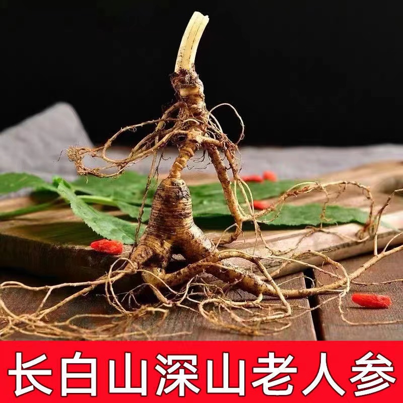 长白山林下鲜参煲汤泡水泡茶