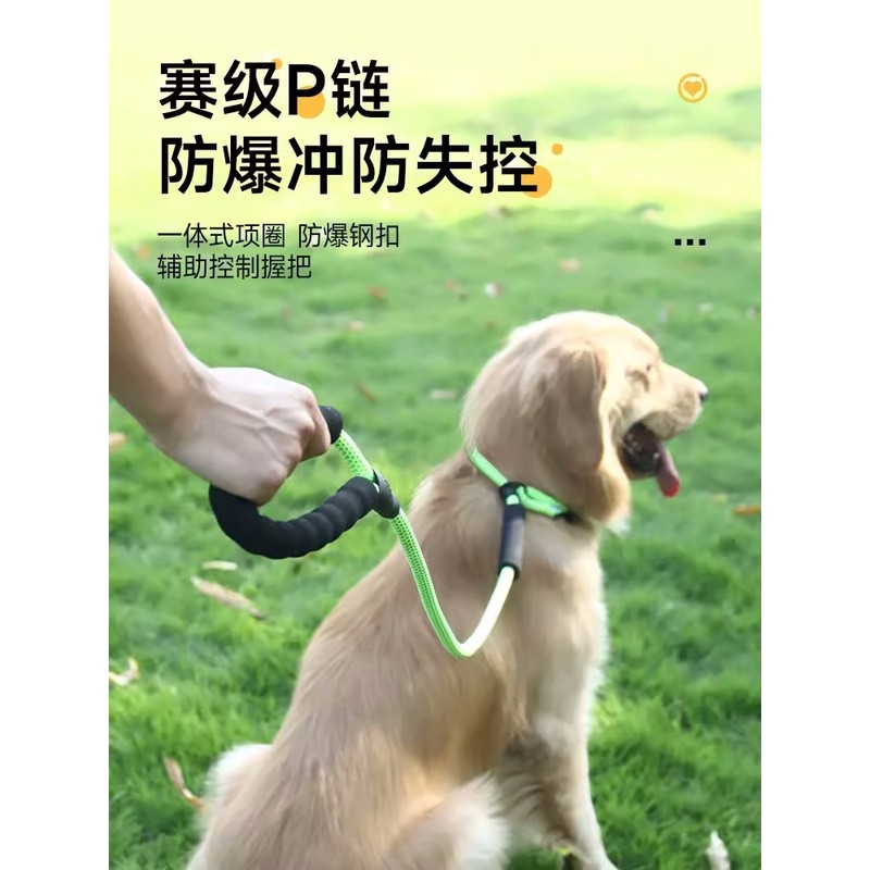 狗牵引绳防爆冲P链项圈中大型犬狗链防挣脱遛狗绳子柯基金毛训犬