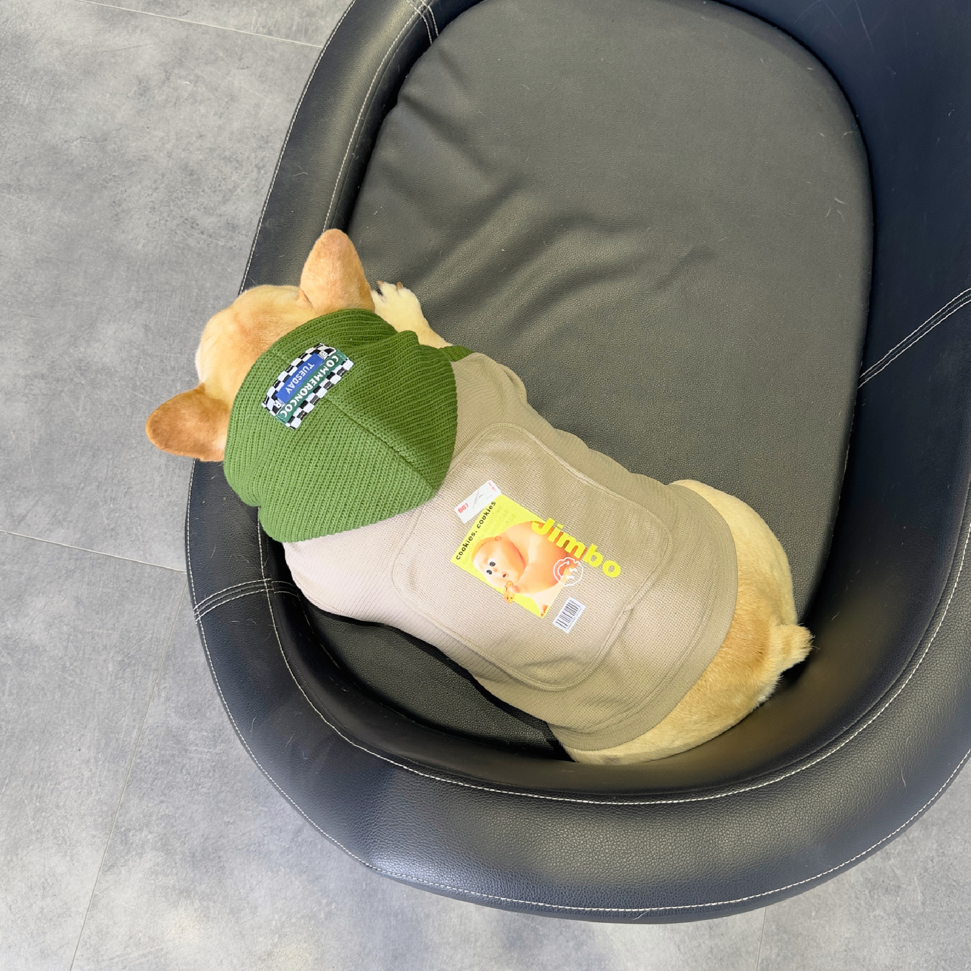 秋冬新款狗狗连帽卫衣 法斗胖狗八巴哥衣服 中小型犬斗牛保暖服饰