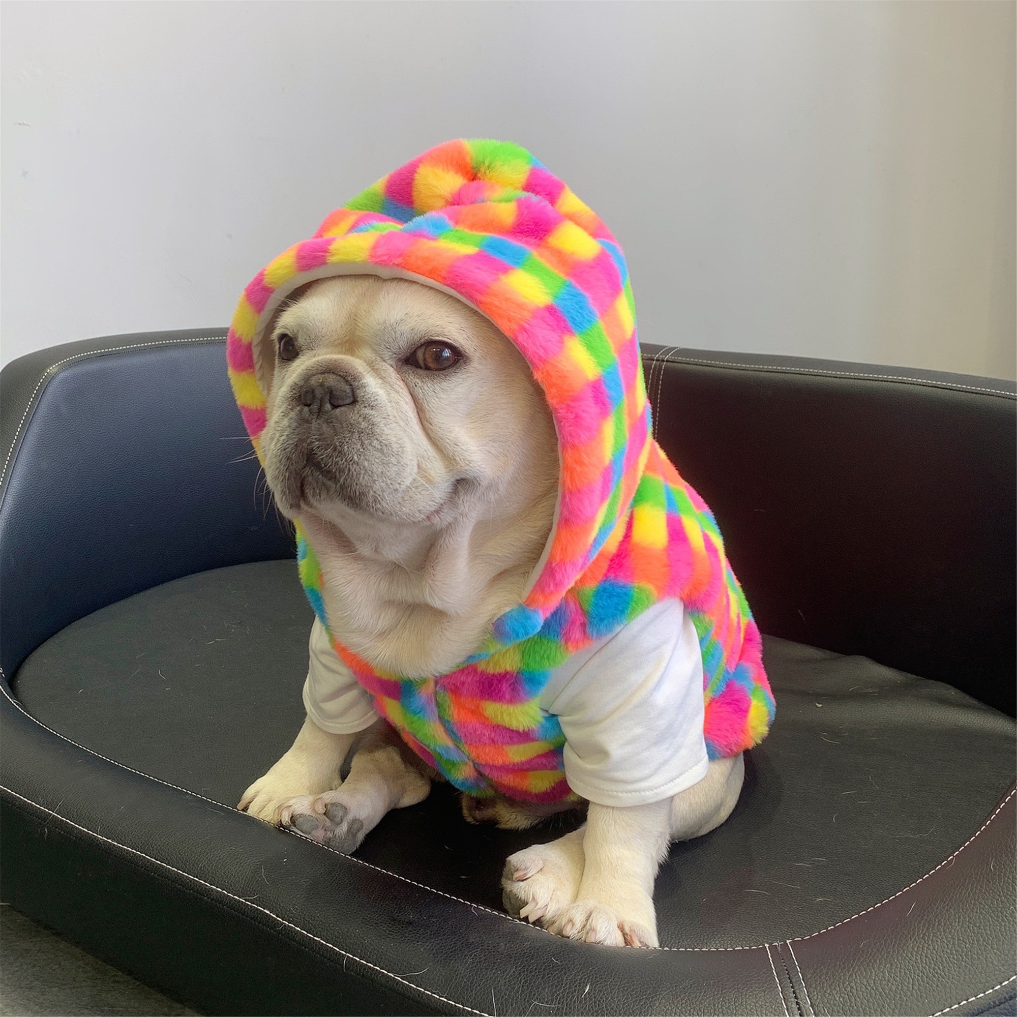 宠物狗狗彩虹格子毛绒马甲 秋冬巴哥胖法斗柯基小型犬连帽棉衣服