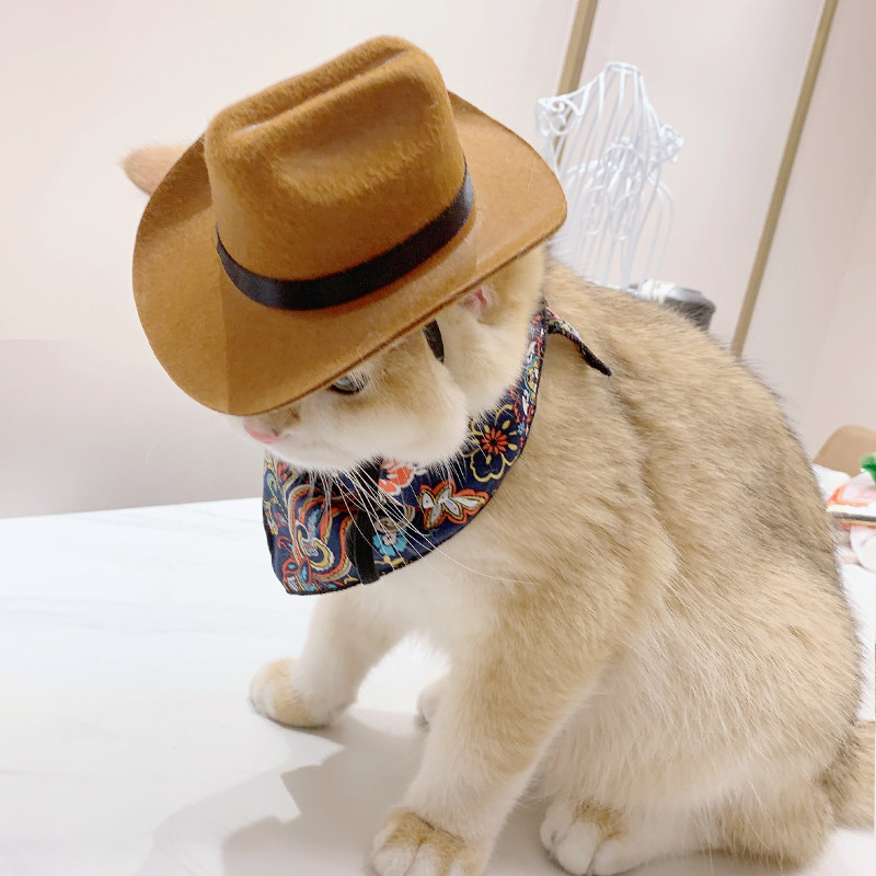 猫咪牛仔帽宠物头饰品西部帽拍照狗狗小型犬头盔可爱宠物帽子