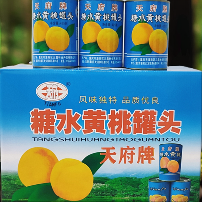 【潼南村播专属】2025年潼南特产天府牌营养糖水黄桃罐头8罐礼盒装