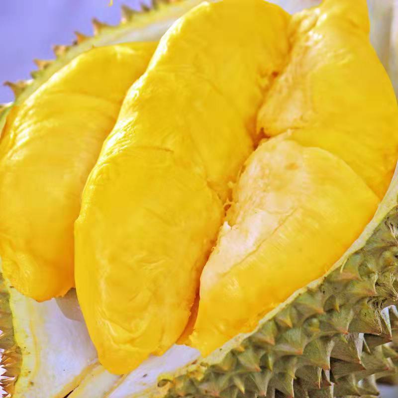 金枕鲜榴莲肉500g/份（核小）金枕