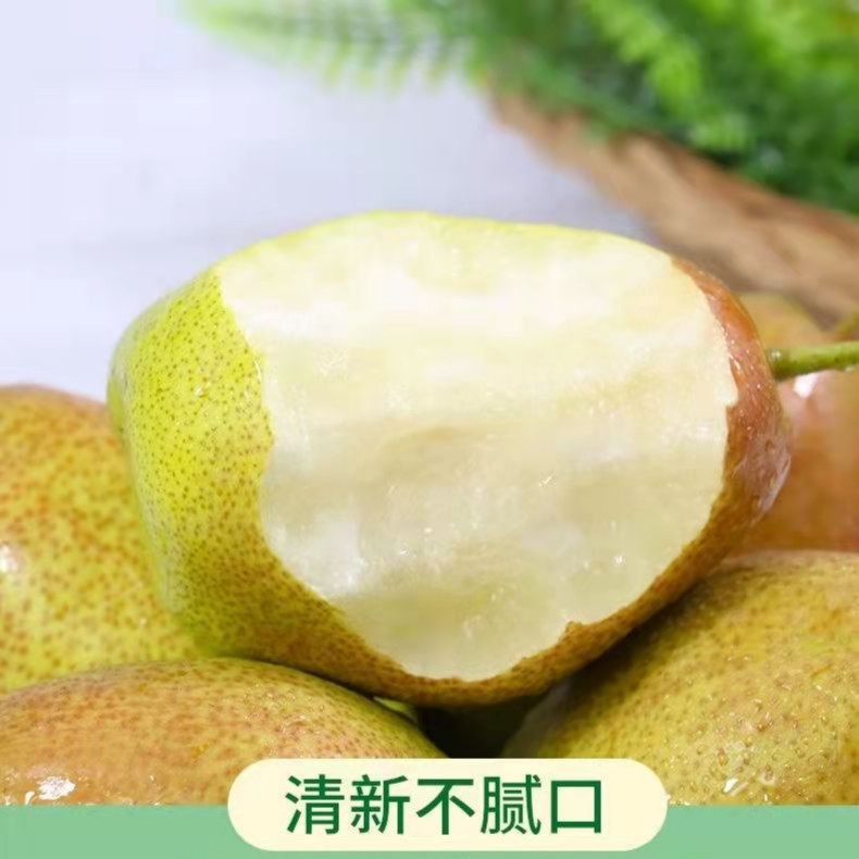 新疆库尔勒特级香梨2斤/份