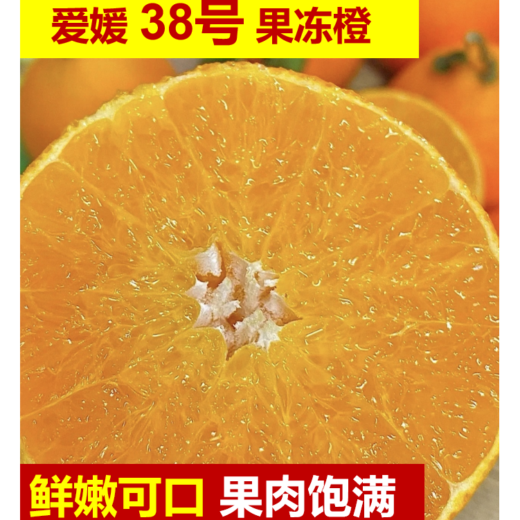 Jx爱媛38号果冻橙汁水充足产地直发新鲜采摘4.5/8斤