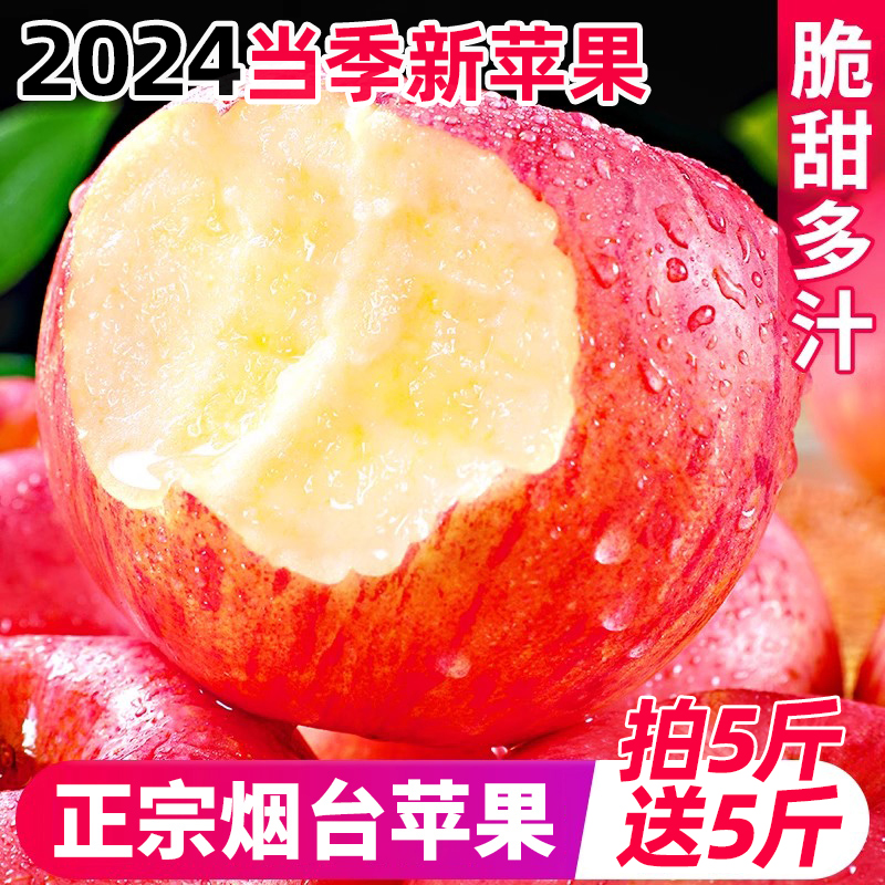 S2 2024当季新鲜山东烟台栖霞苹果脆甜正宗红富士红将军产地直发