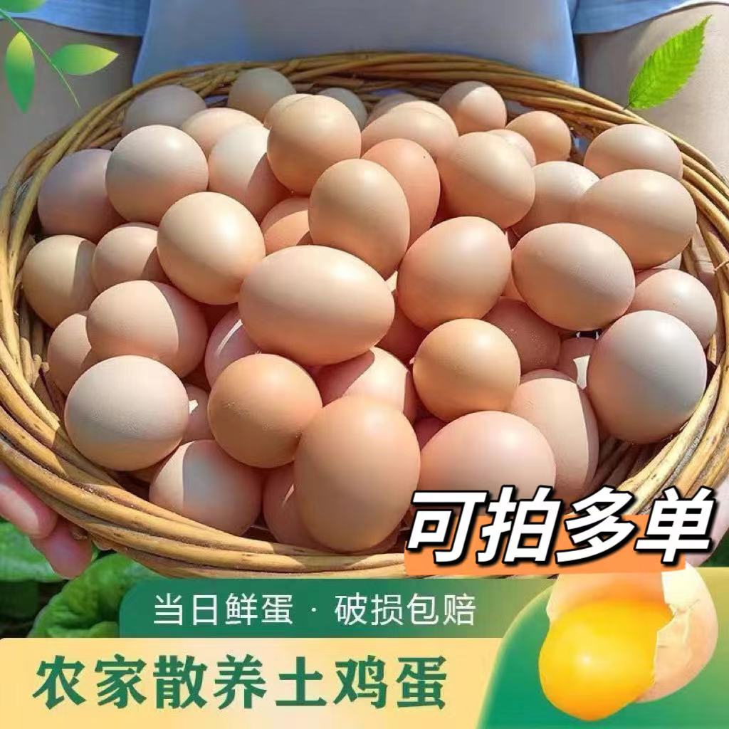 【10枚初生蛋】农家山林散养土鸡蛋虫草蛋粉壳鸡蛋单枚40±5g/枚