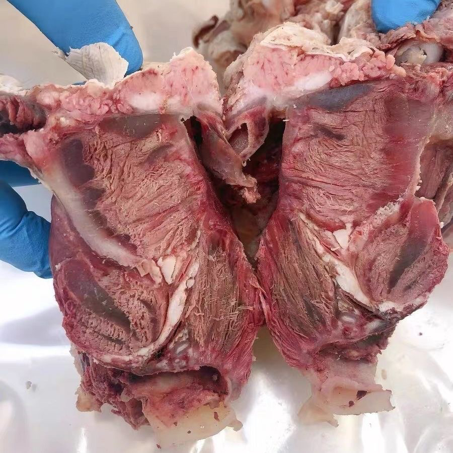 新鲜九分熟牛腮肉到手四斤