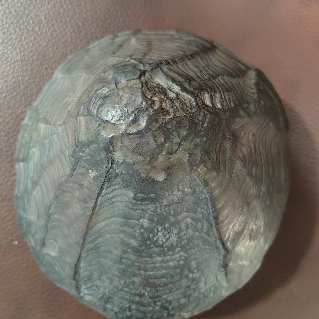 龟纹石天然原石摆件茶宠茶盏—图片仅供参考