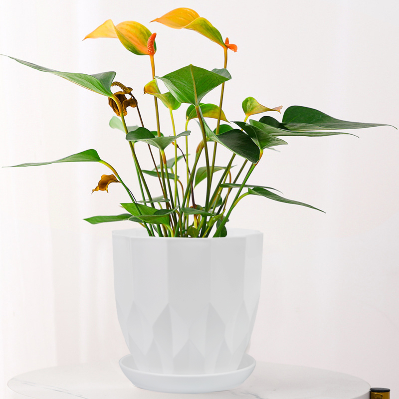 彩色创意钻石加厚树脂环保无味多肉红掌彩叶芋耐摔耐造花盆