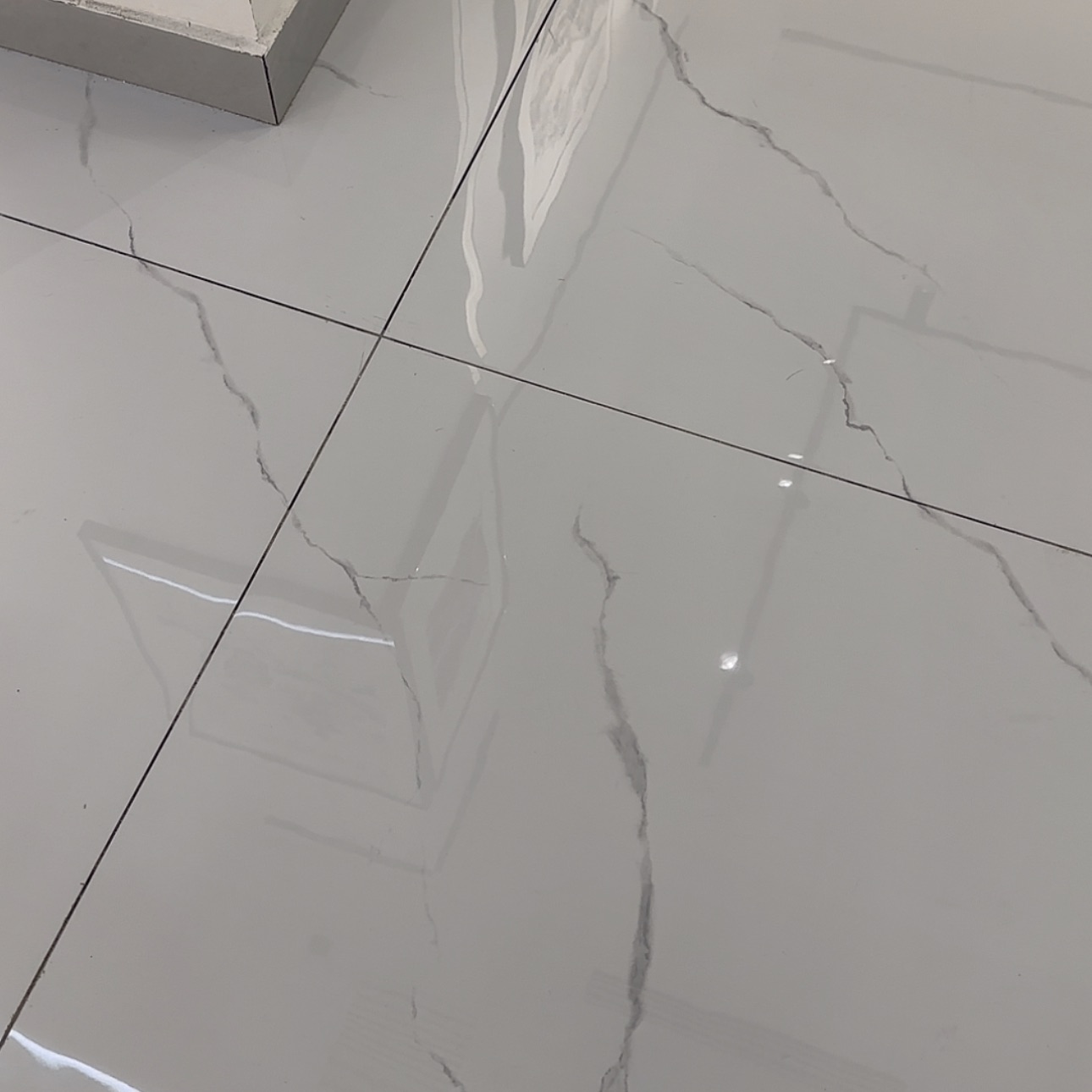 【闪购商品】书法瓜**渡