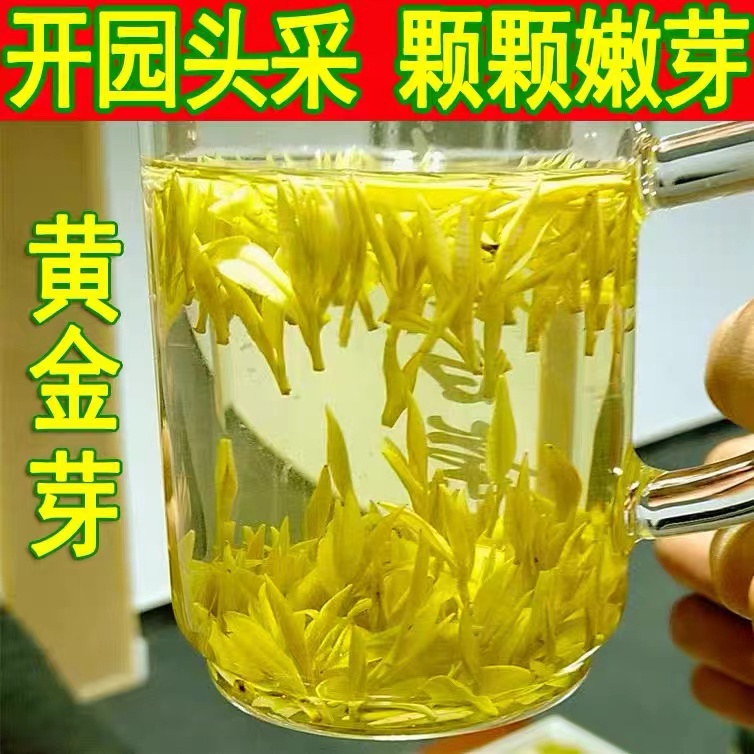 『新号补贴头采龙皇』2025年新茶 头采黄金芽 H04款 奶香 250g/500g
