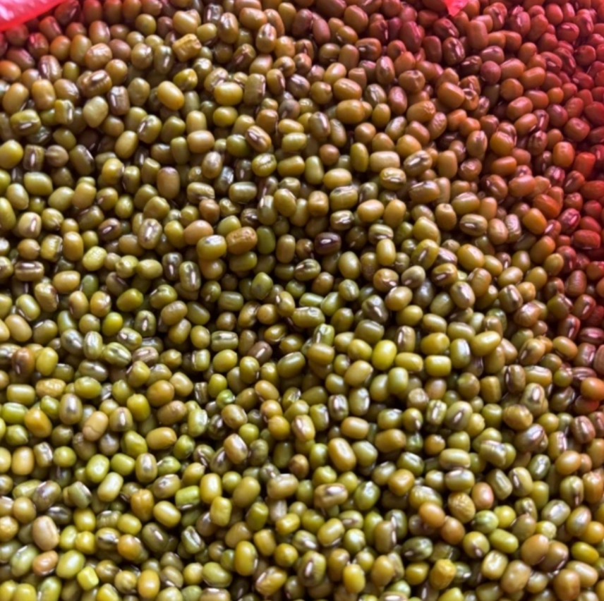 【绿豆】农家自种好物