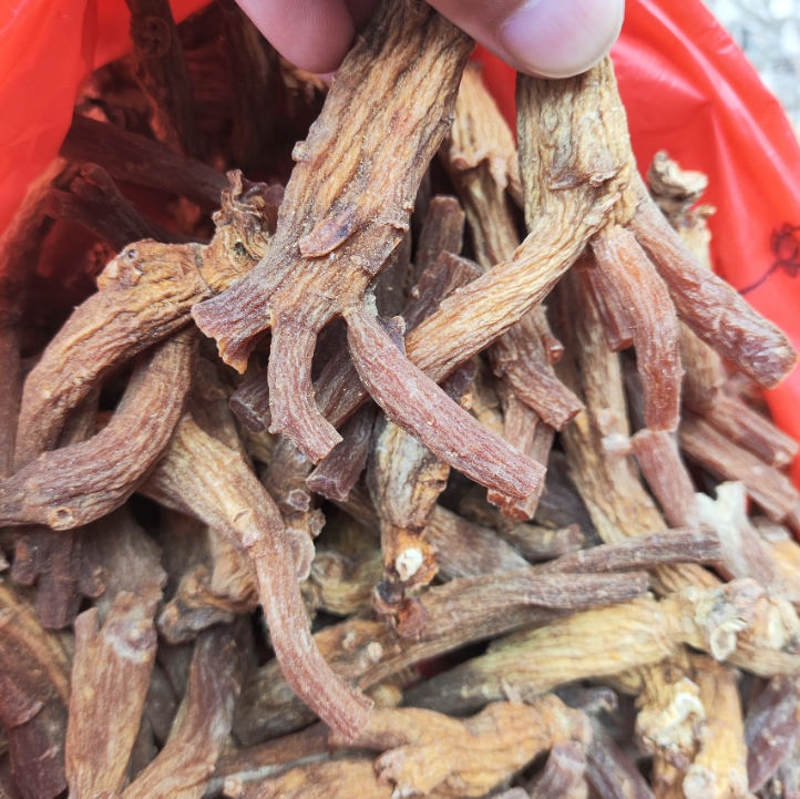 【龙爪！高丽参】好物推荐