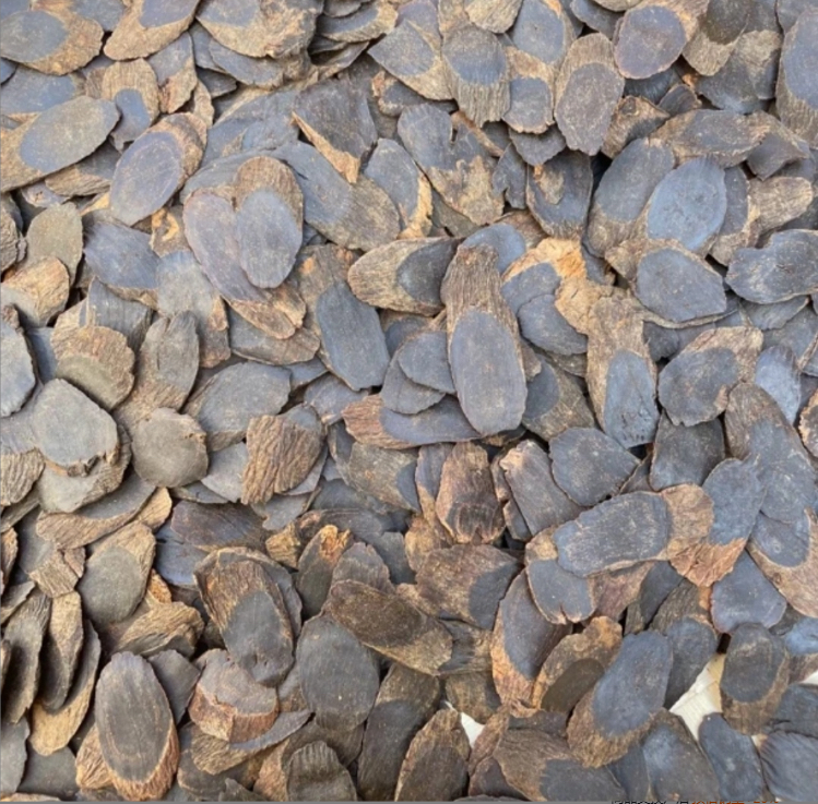【黑金！参片】好物推荐 泡水泡茶
