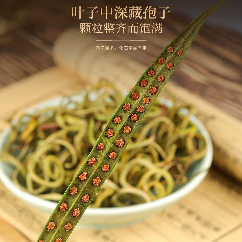 化石草中药材非野生黄金草嗷嗷叫正品泡水喝男肾茶包邮另售鱼腥草