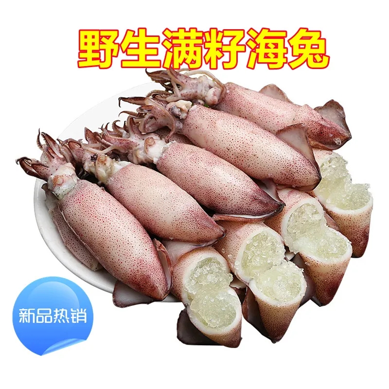 非笔管鱼  鸿包1员