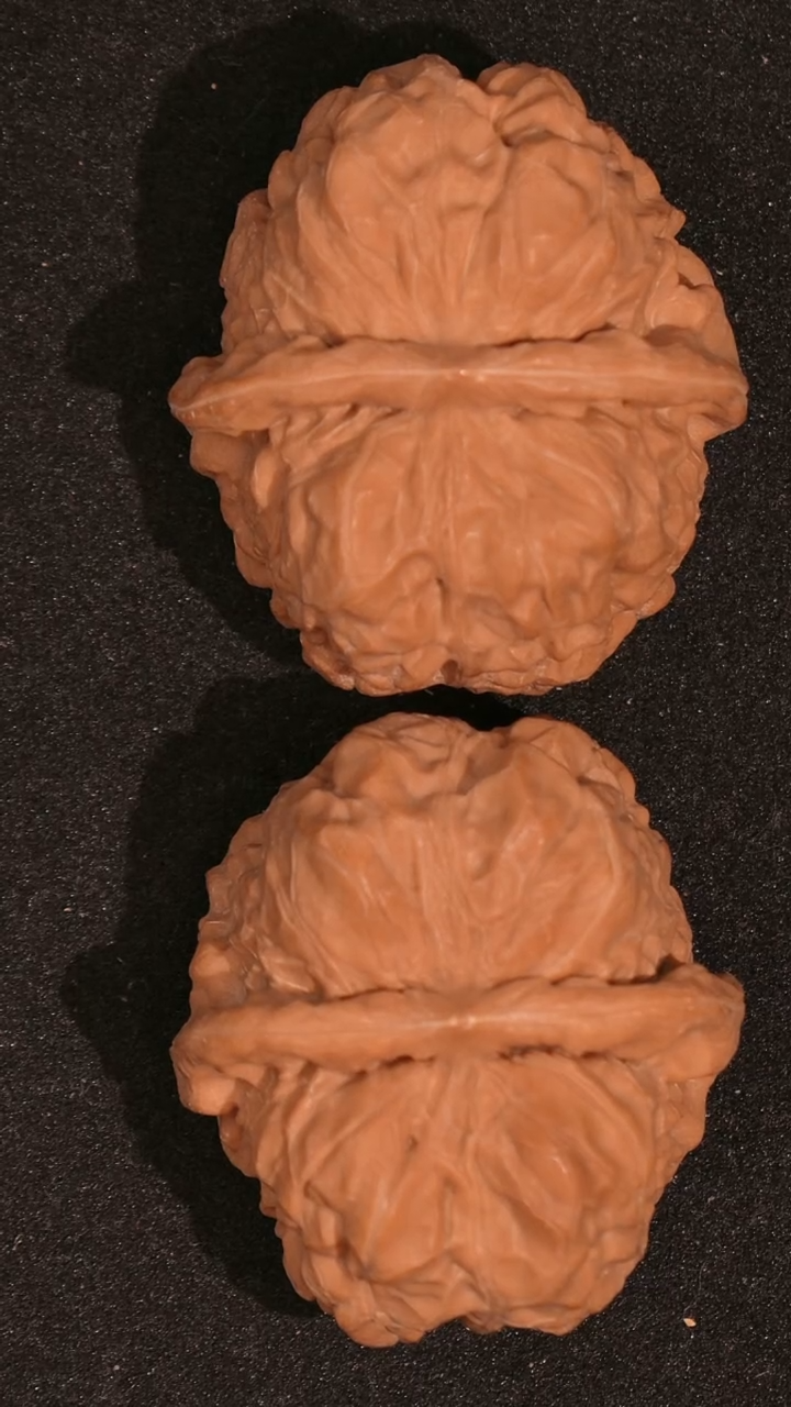 【闪购商品】文玩核桃把件蛤蟆头40全品