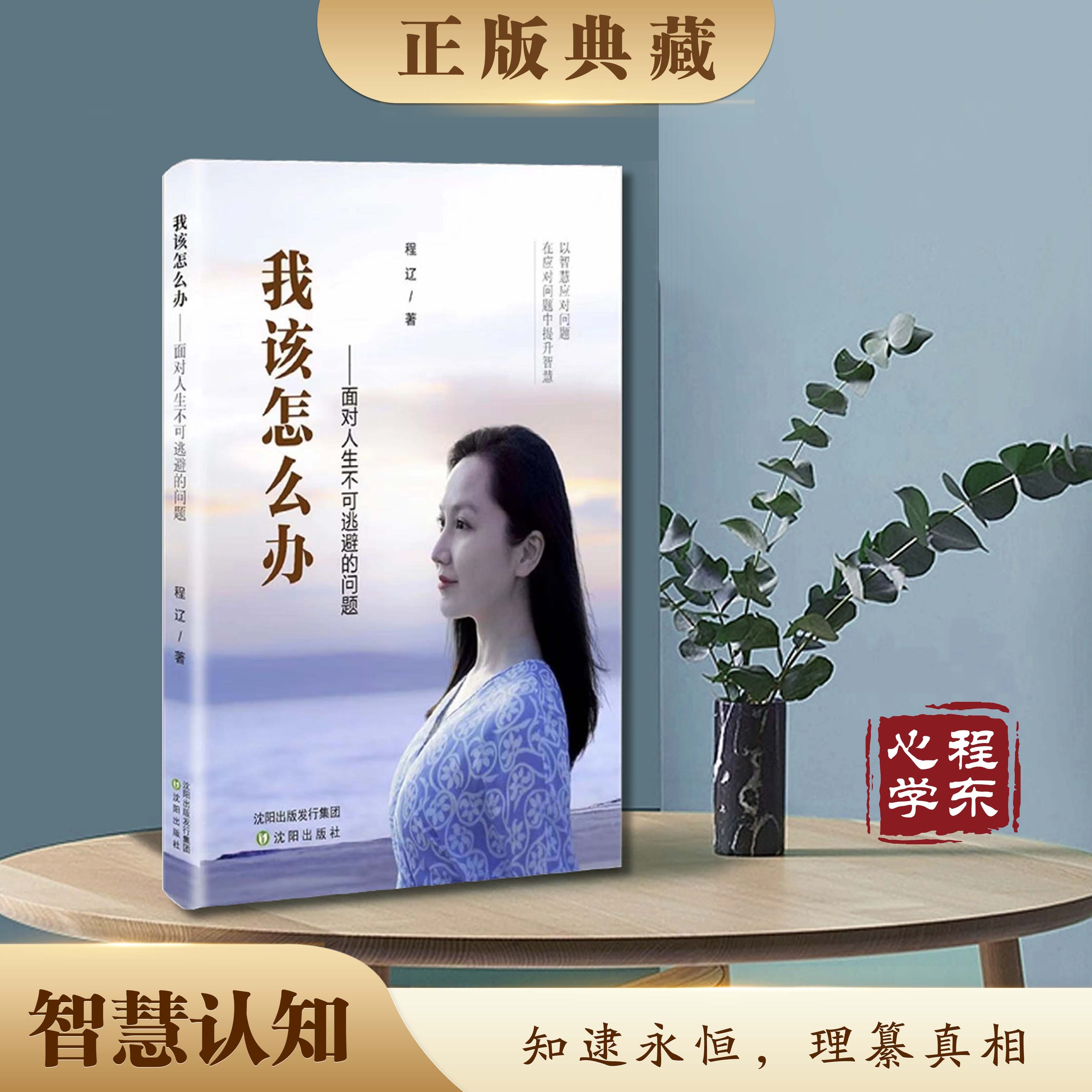 【智慧认知】我该怎么办：面对人生不可逃避的问题反内耗焦虑书籍