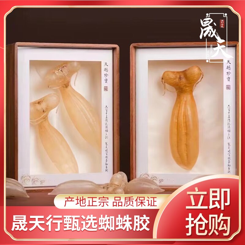 晟天蜘蛛公胶蜘蛛母胶鱼胶干货生鲜