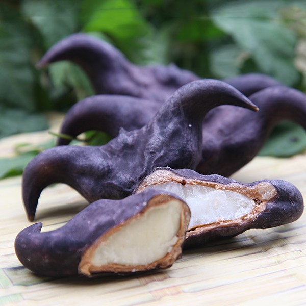 湖北特色水生蔬菜洪湖新鲜老菱角粉糯香甜现摘现发1斤3斤5斤装