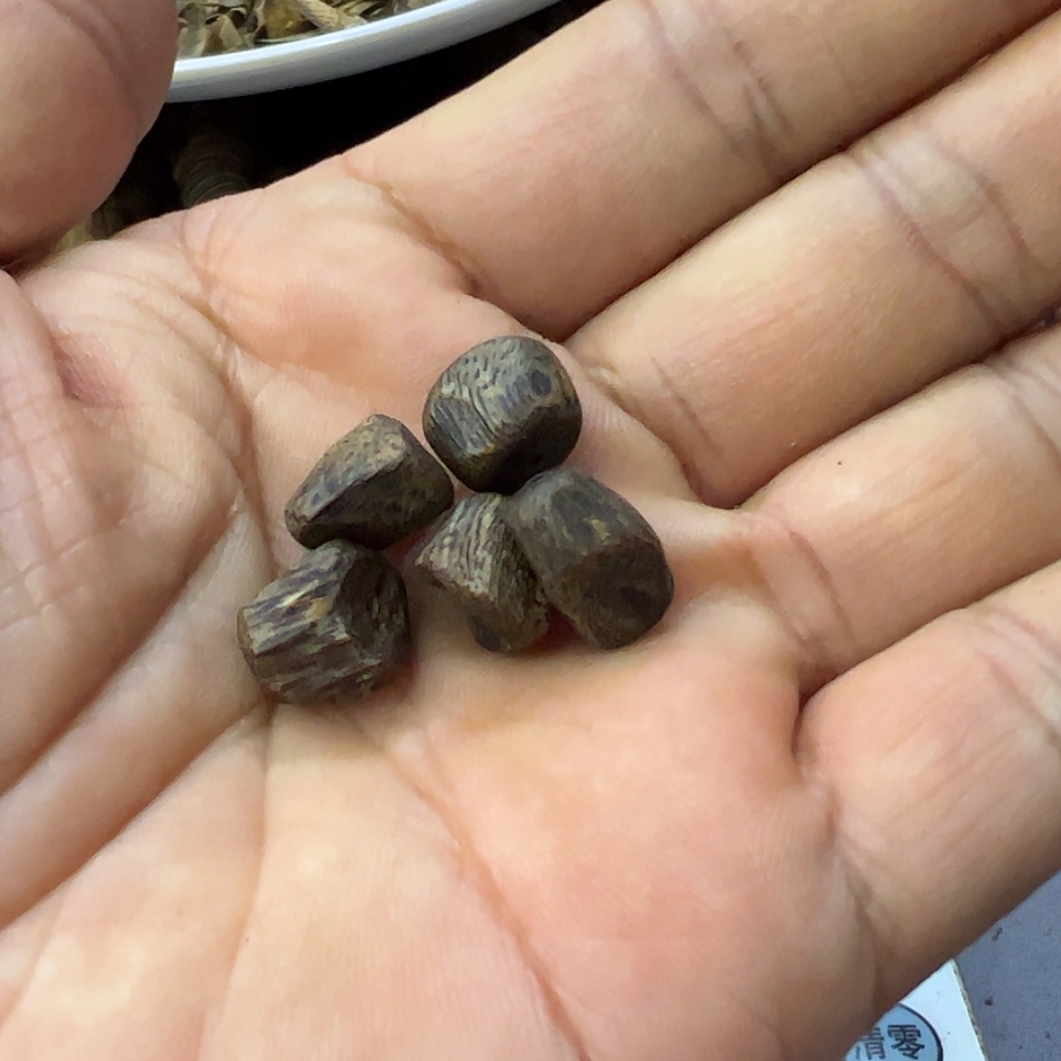 【闪购商品】沉香手串肖*林张勺子手串2克