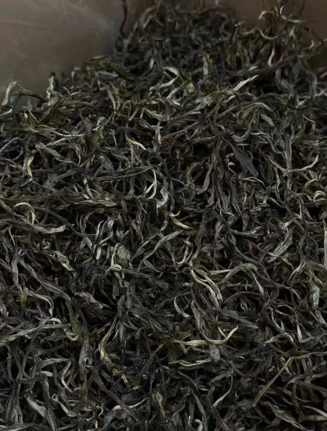 【哈尼手工】倚邦曼松王子山大树普洱茶