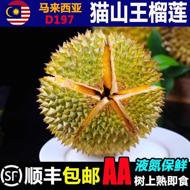 顺丰包邮马来西亚猫山王榴莲D197液氮冷冻AA整果带壳新鲜进口水果