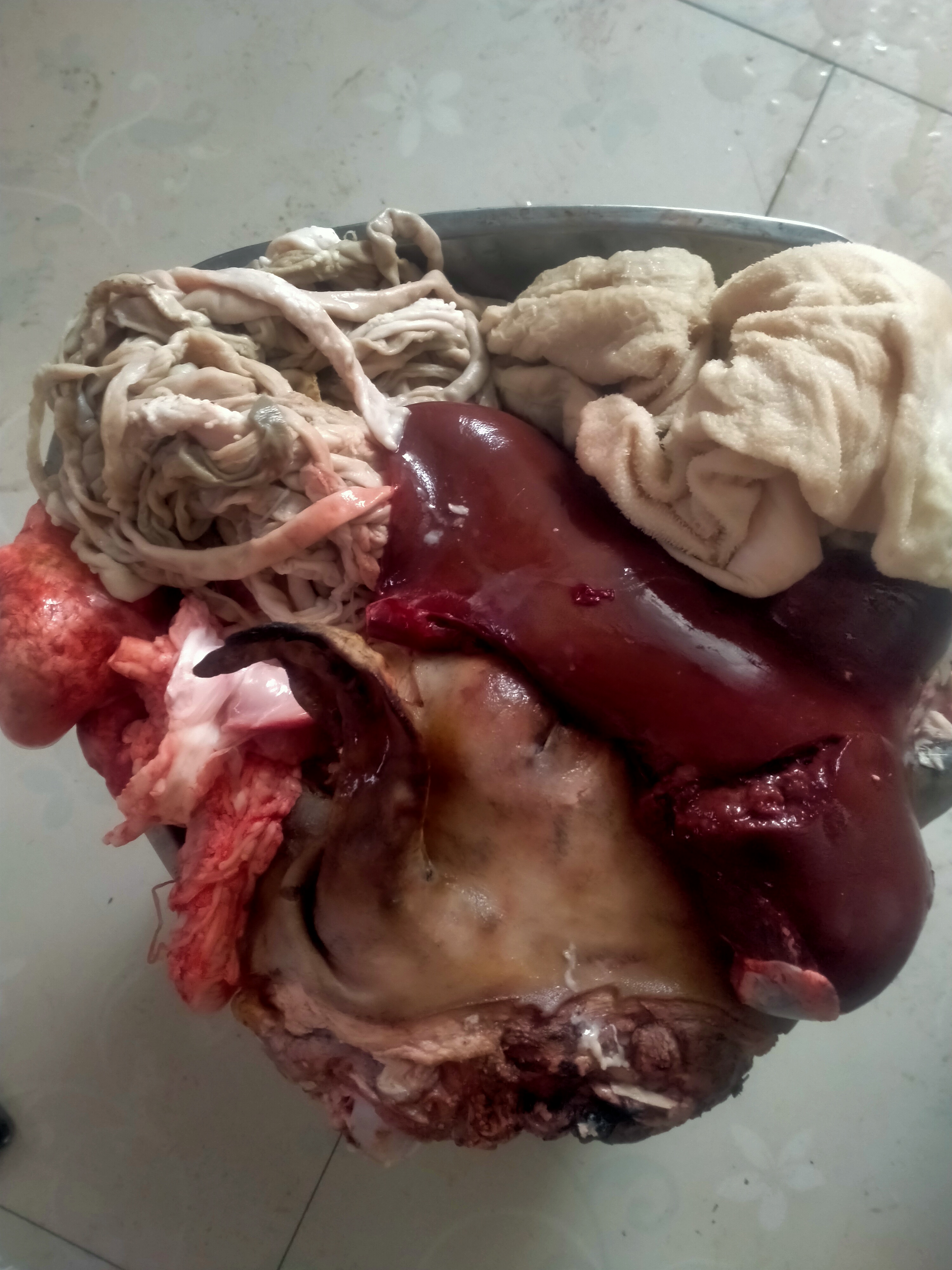 新鲜羊杂（拆骨羊头，焯水羊肚子）