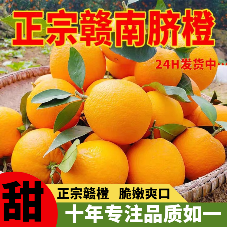 正宗赣南脐橙赣南脆嫩纽荷尔橙子奉节脐橙江西赣州新鲜香