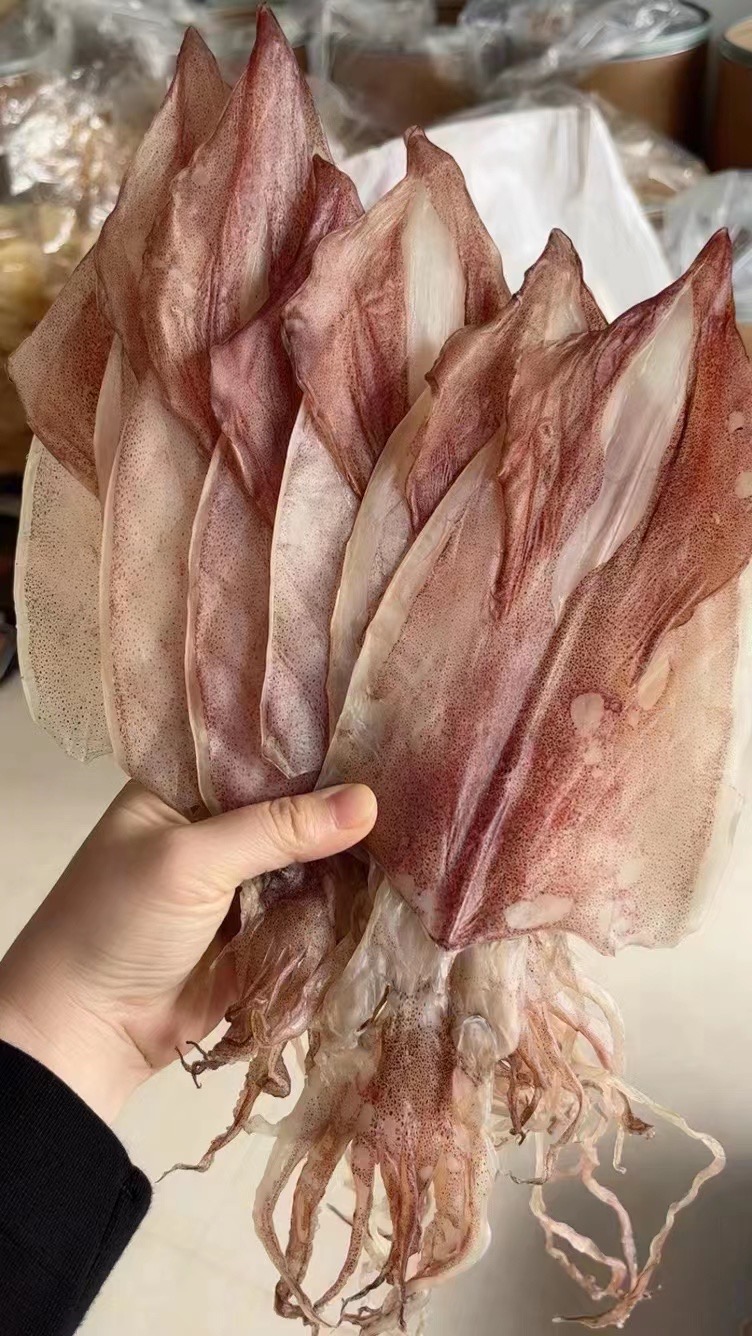 汕头南澳鱿鱼干宅鱿一斤6-8个