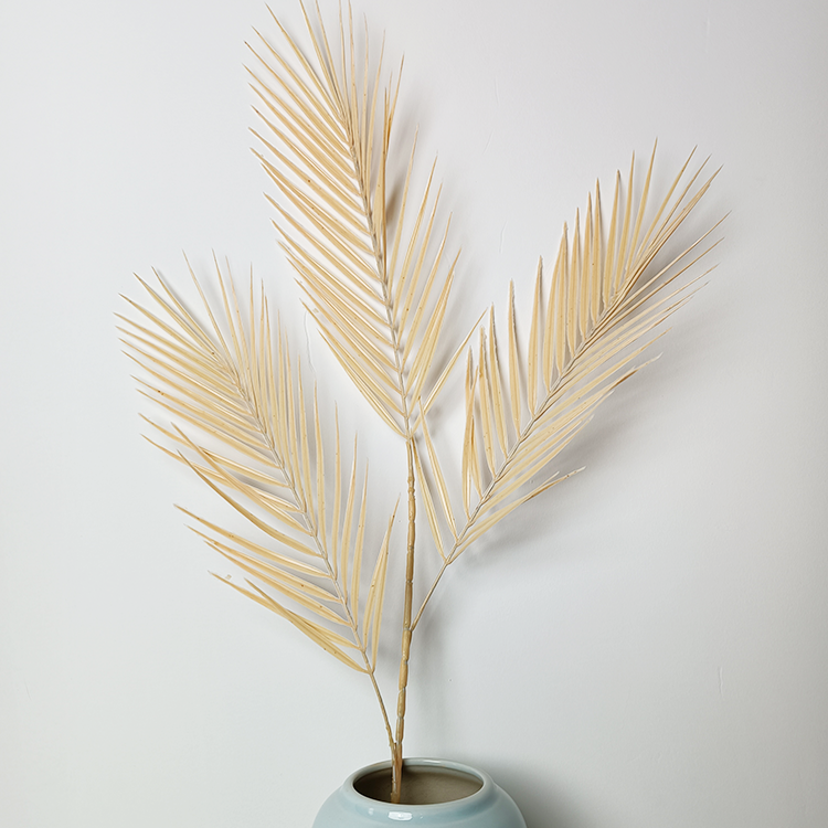 散尾叶田园单只婚庆婚礼绿植