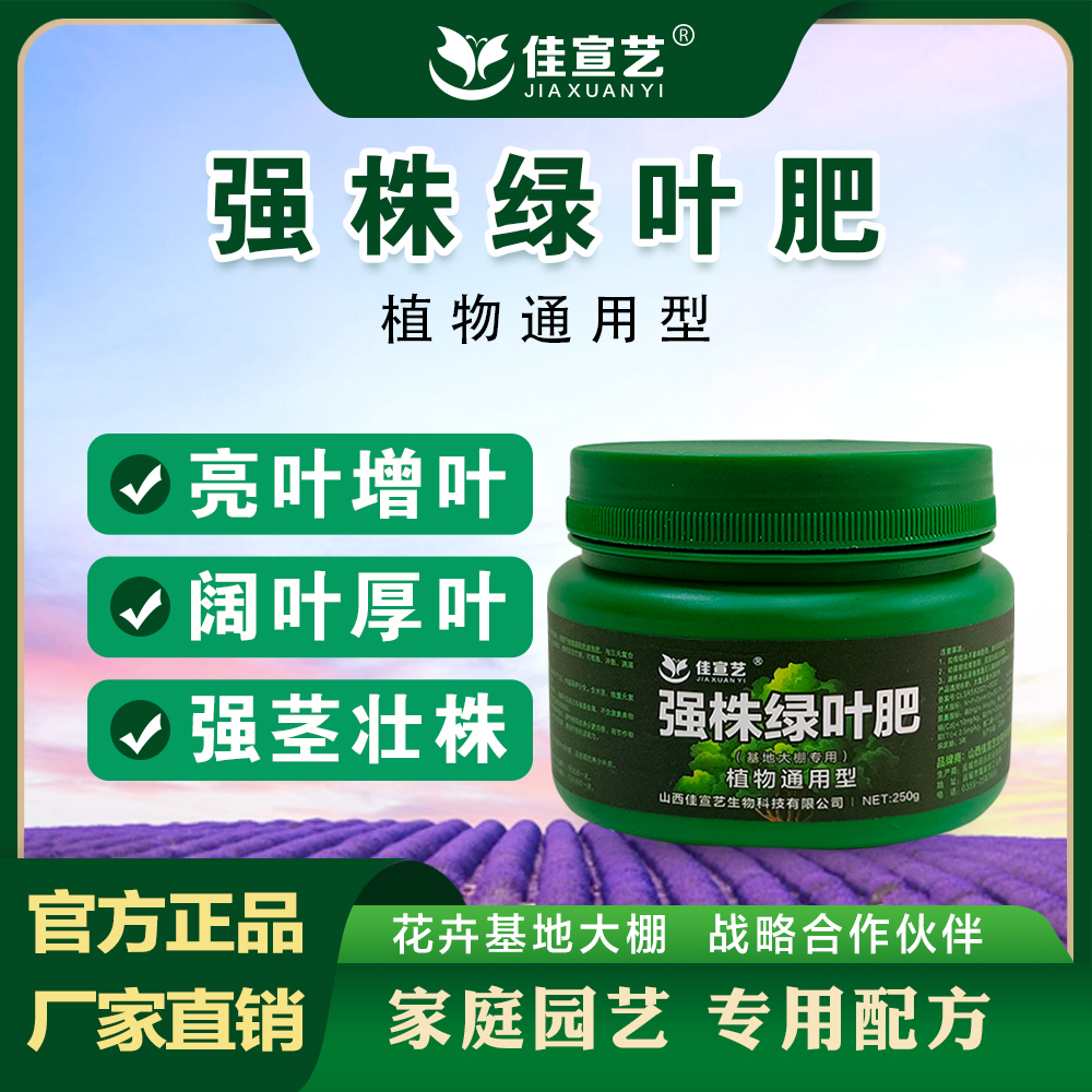绿植通用【强株绿叶肥】肥观叶植物通用型家庭园艺基地大棚蔬菜生长