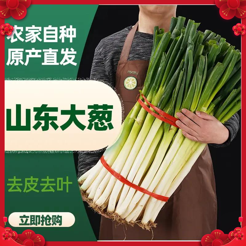 山东大葱10斤葱大葱绿色山东大葱直供铁杆葱笨葱蘸酱新鲜蔬菜1斤