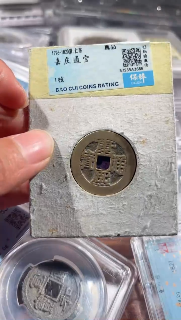 【闪购商品】铜康熙宝浙55柏