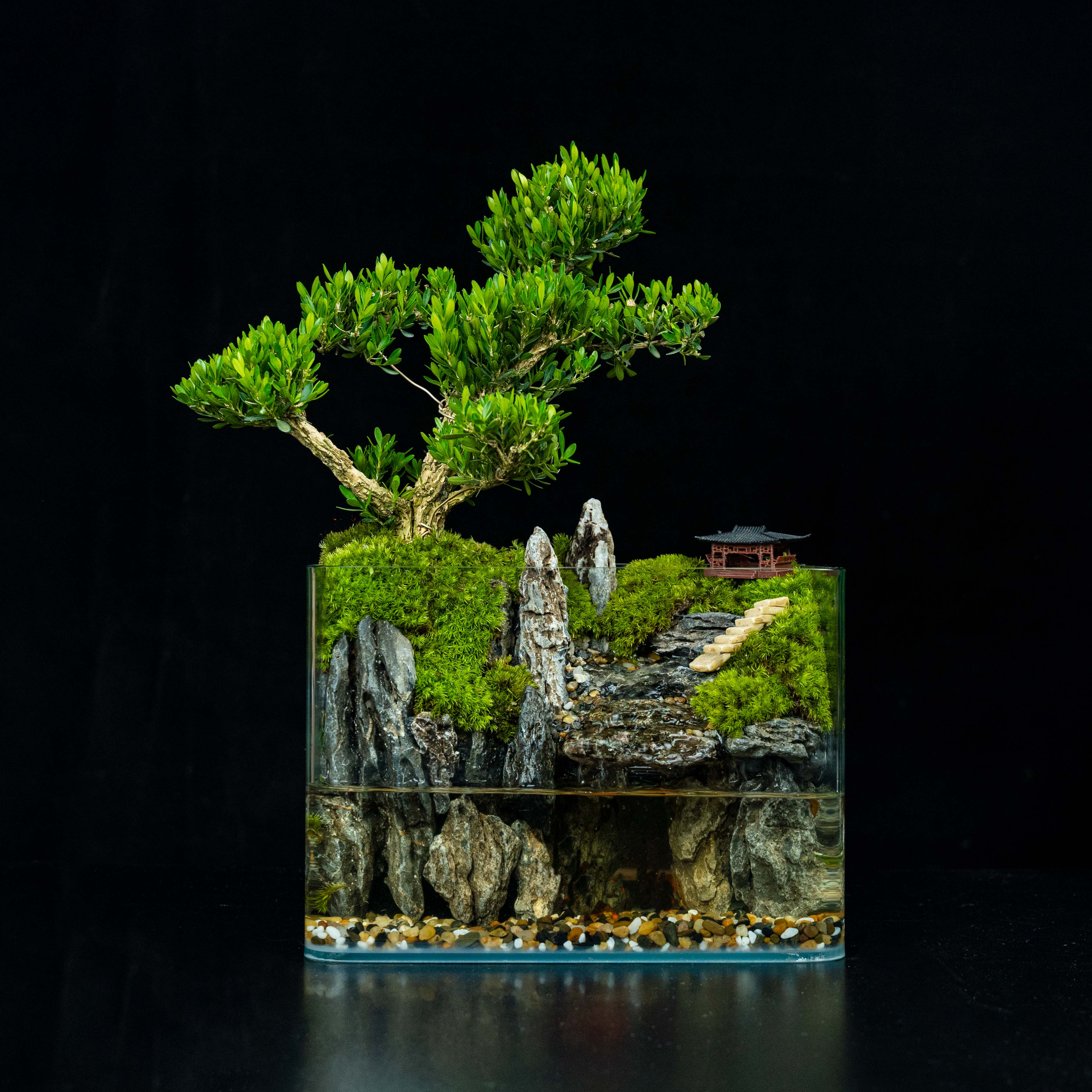 【mini】雀舌黄杨流水景观—内置循环流水植物造景成品25*16*18