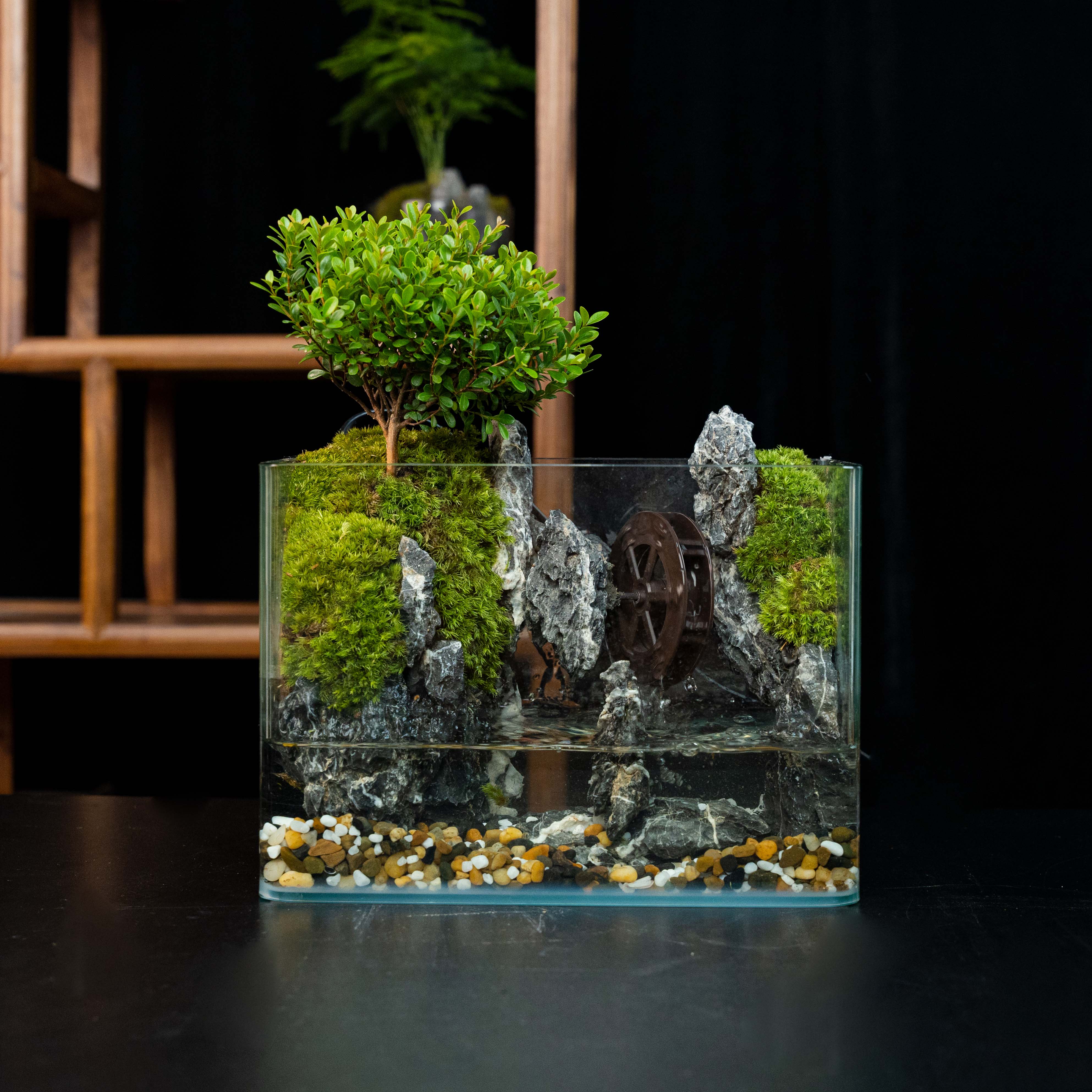 【mini】渊阙—内置循环流水小叶赤楠绿植造景成品25*16*18