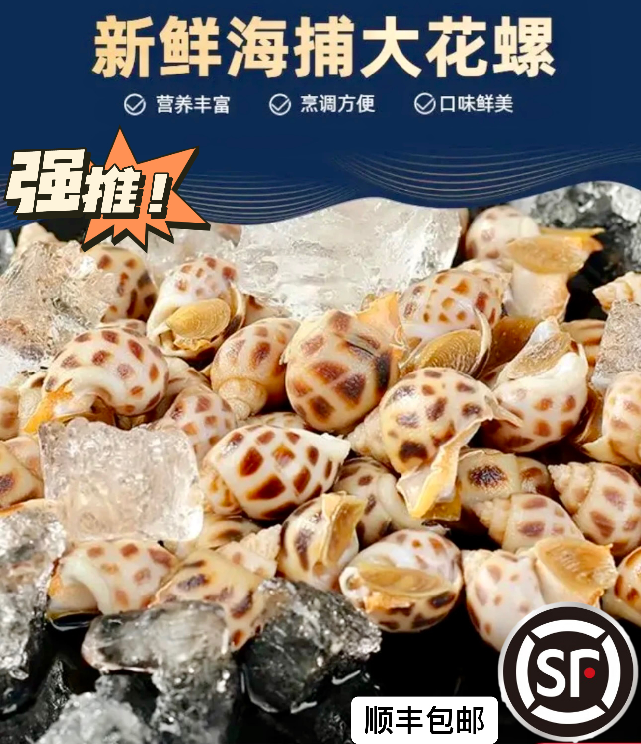 新鲜海捕大花螺肉质美味鲜嫩海螺东风螺旺螺顺丰包邮（活发不包活）