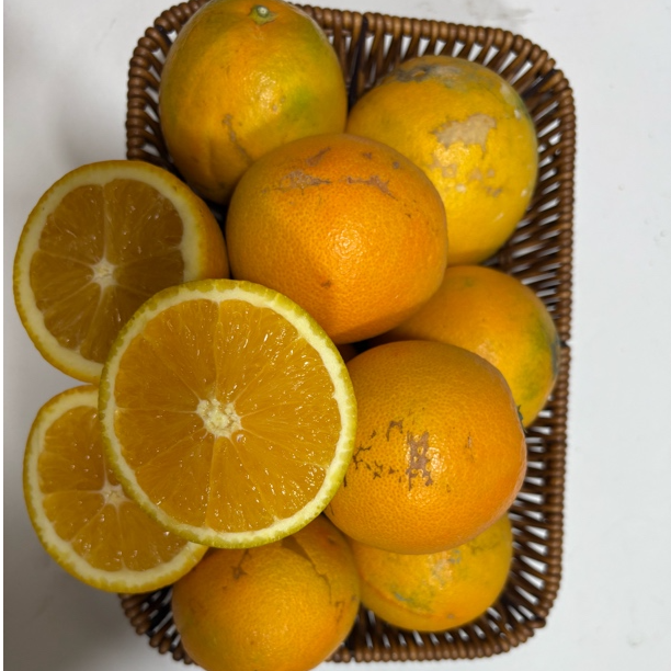 【5斤尝鲜试吃】次果花皮果正宗赣南脐橙新鲜现摘现发丑橙清甜多汁