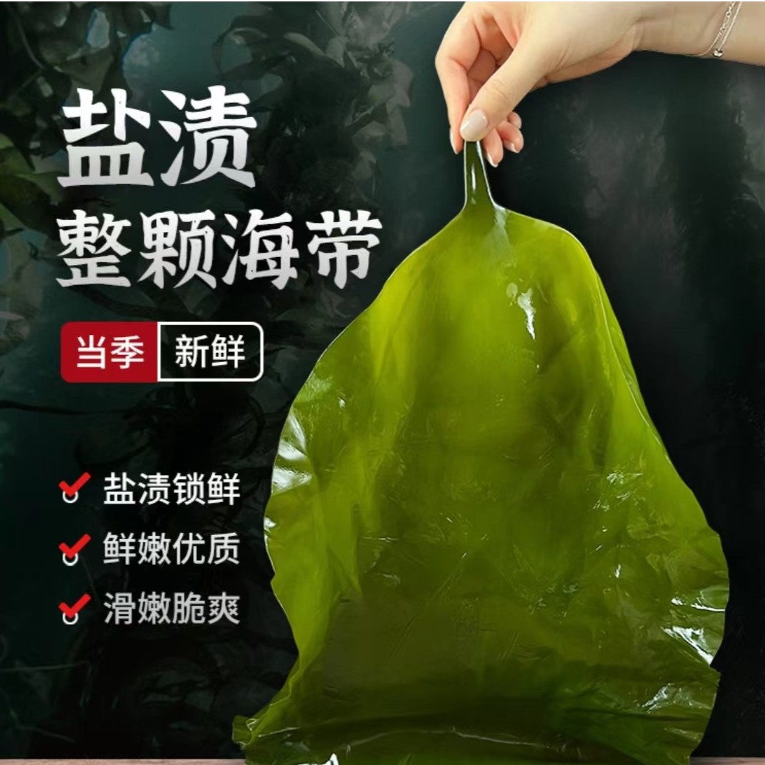 海小白盐渍整颗海带 含箱5斤 包饭海带 嫩海带 大连特产 凉拌 