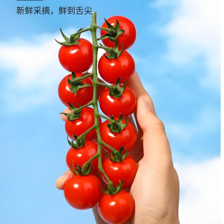 都乐Dole串收小番茄600克番茄同城配圣女果广西壮族自治区