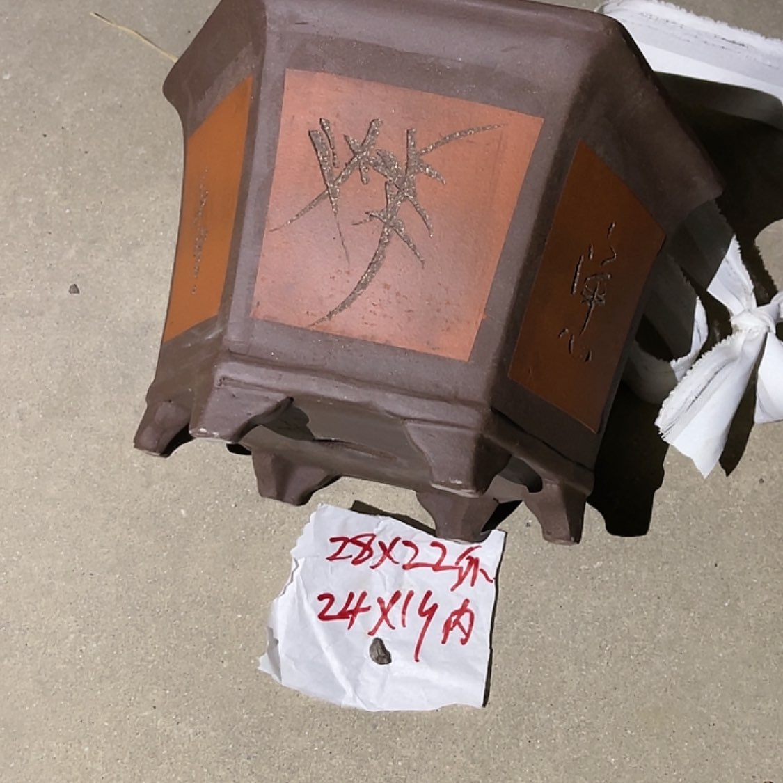 【闪购商品】紫砂20cm(含)-50cm(含)