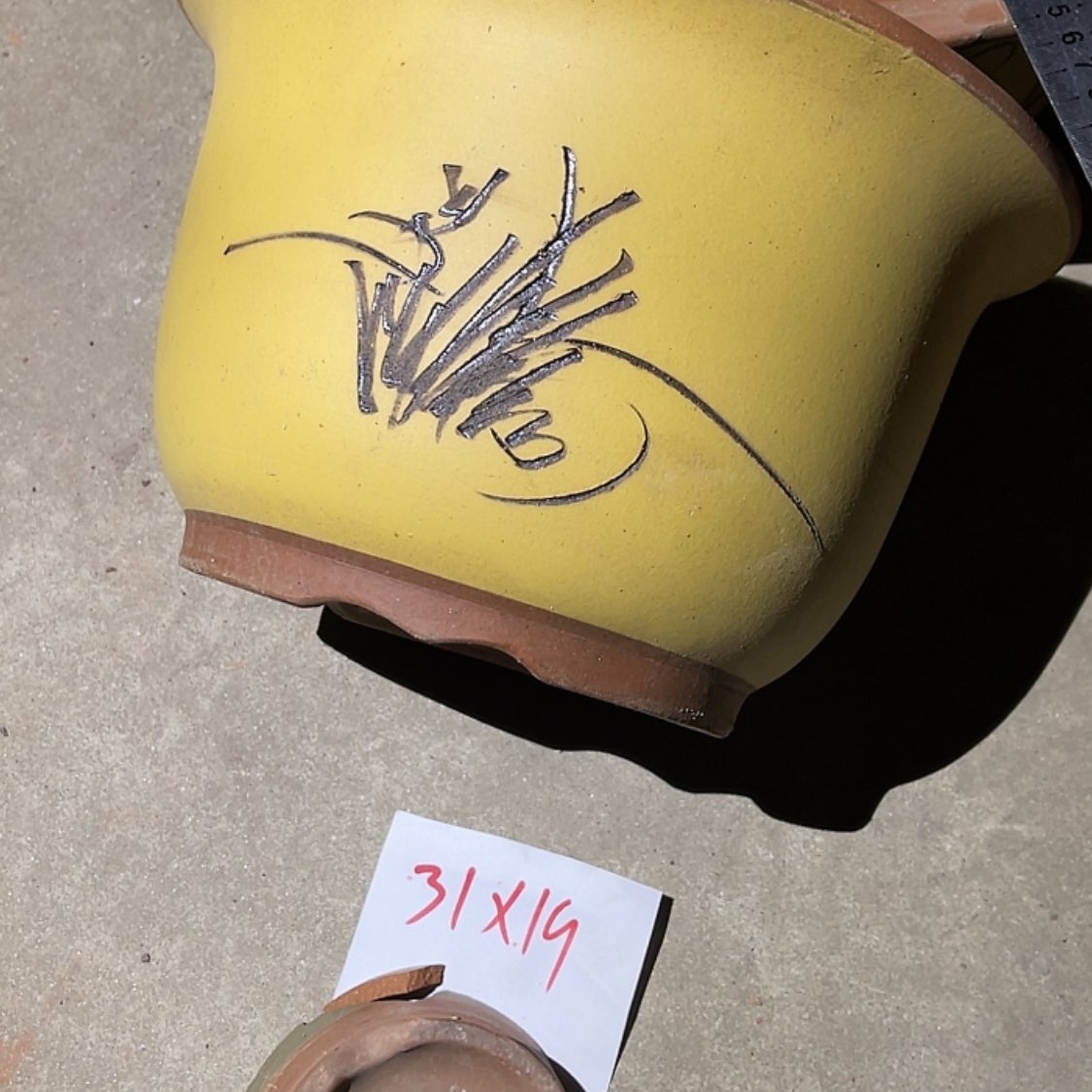 【闪购商品】紫砂20cm(含)-50cm(含)