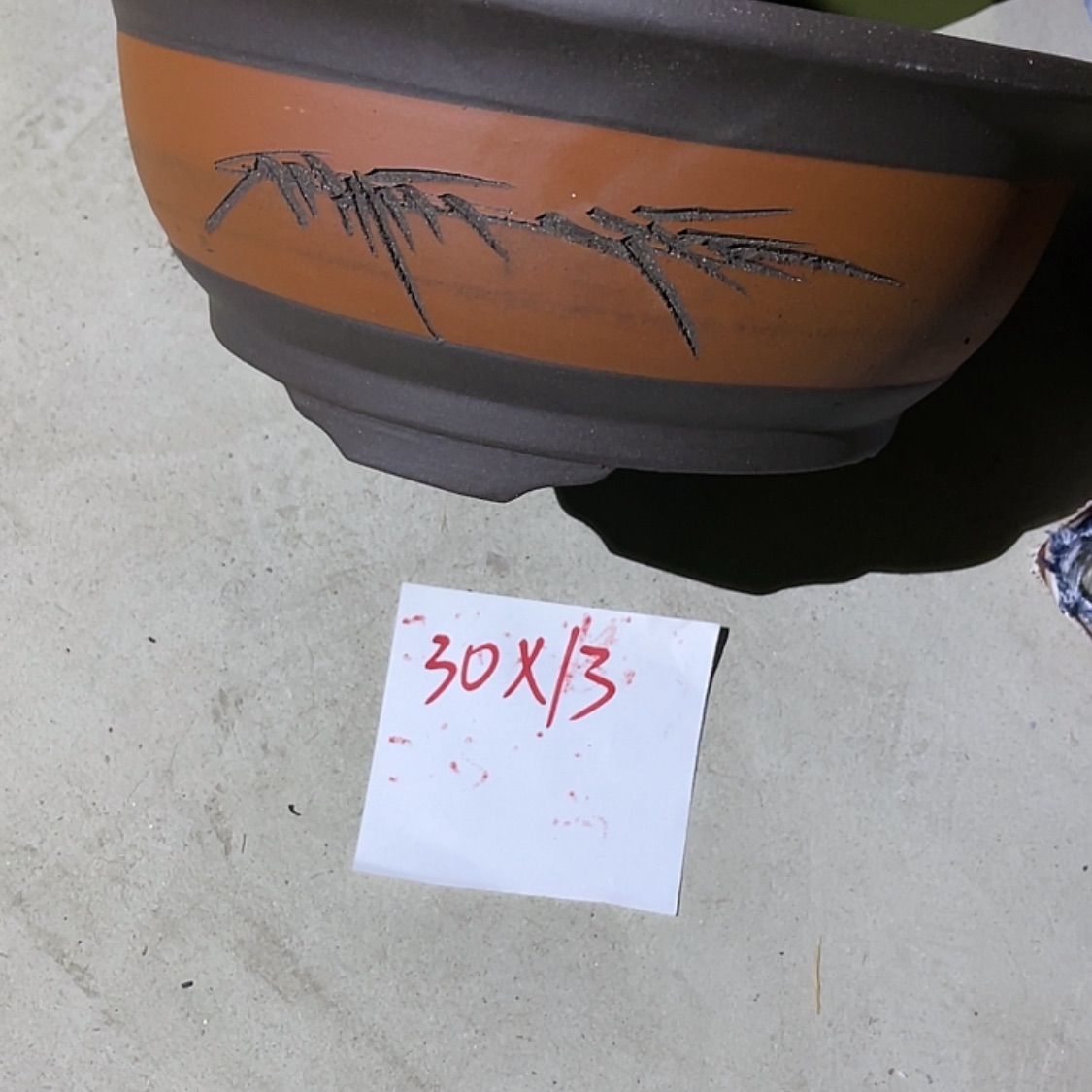 【闪购商品】紫砂20cm(含)-50cm(含)