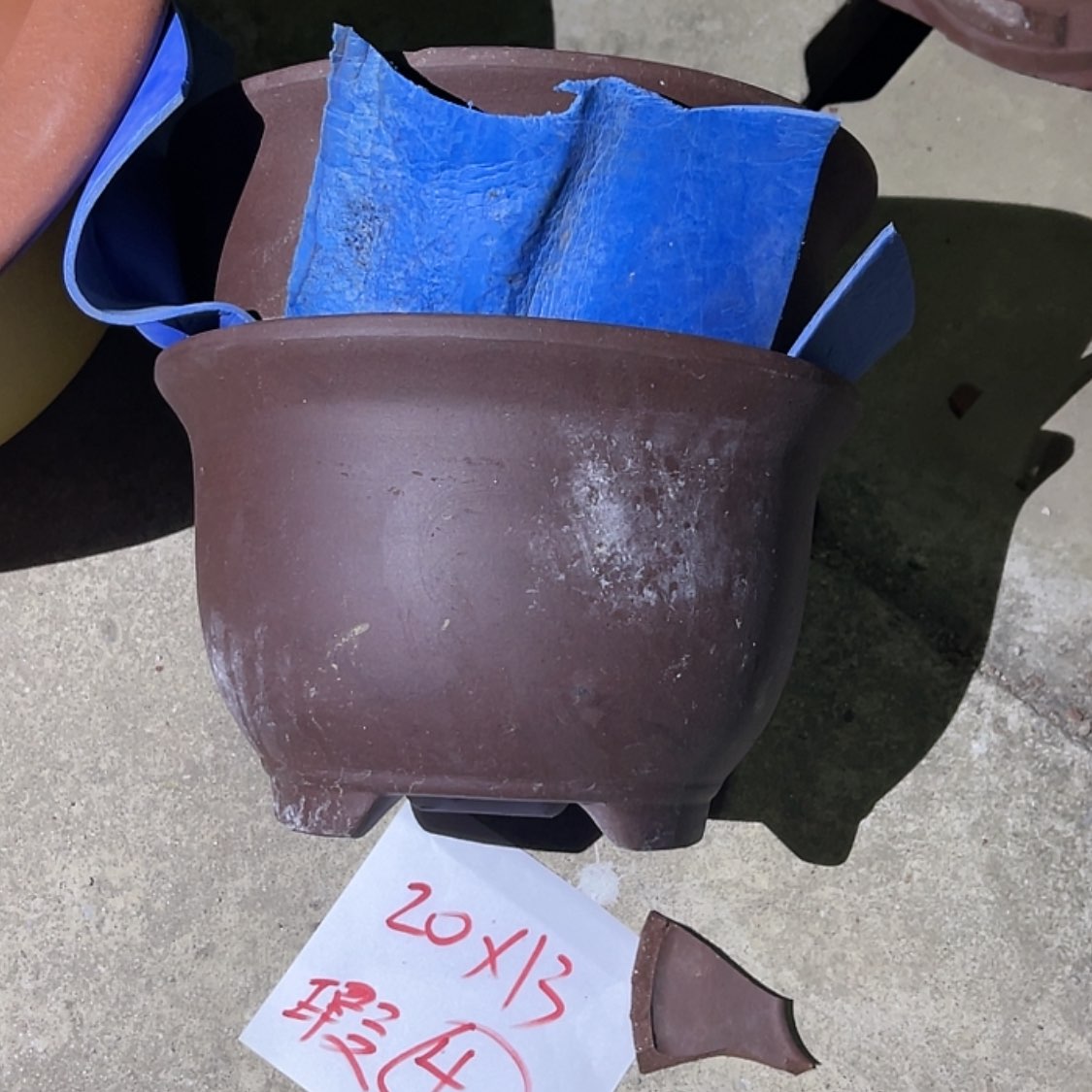 【闪购商品】紫砂20cm(含)-50cm(含)