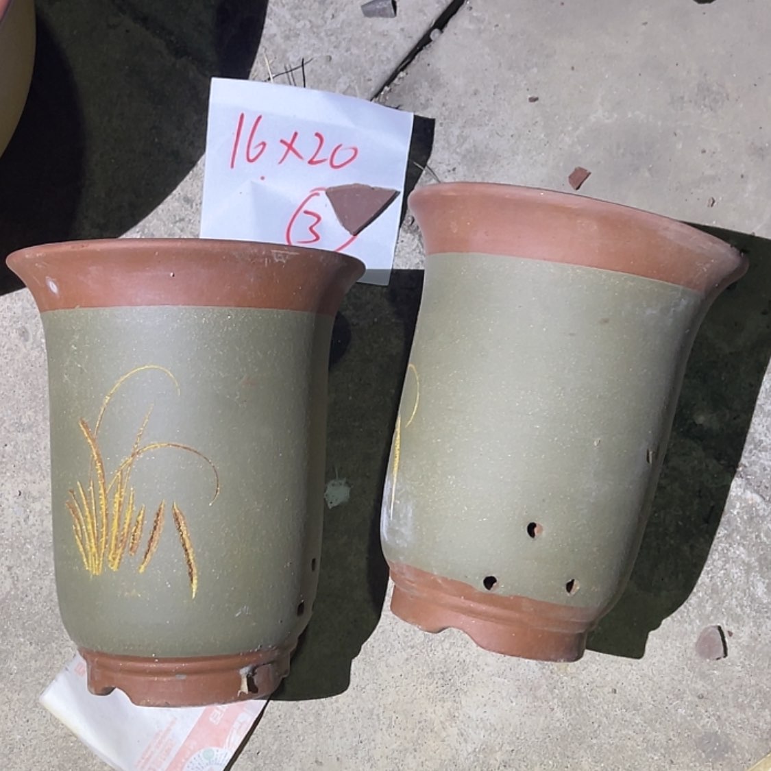 【闪购商品】紫砂20cm(含)-50cm(含)
